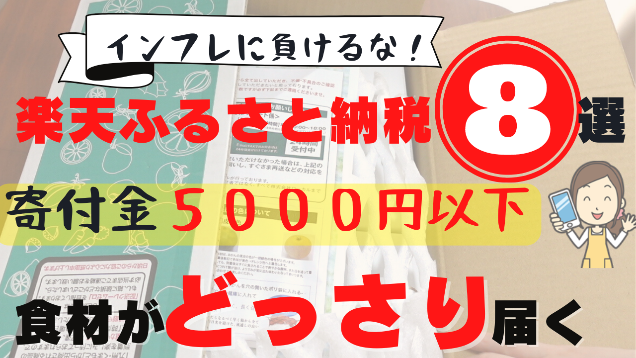 ふるさと納税５０００円以下